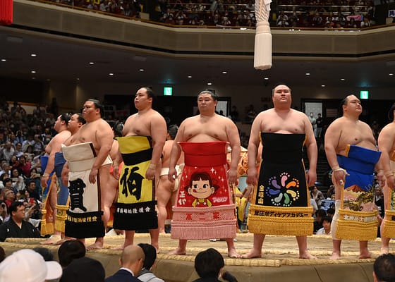 DAS GRAND SUMO TOURNAMENT AUF PLUTO TV